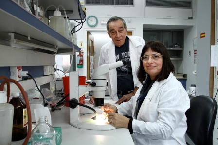 Profs. Bernardo Vidne and Talila Volk. From human hearts to fruit fly hearts